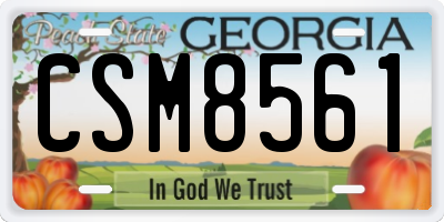 GA license plate CSM8561