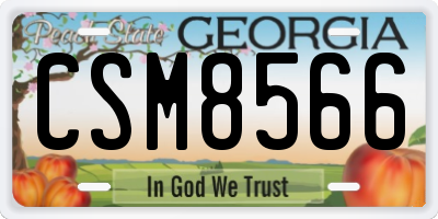 GA license plate CSM8566