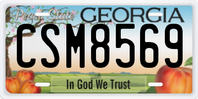 GA license plate CSM8569
