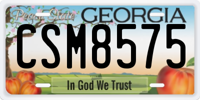 GA license plate CSM8575