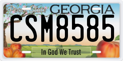 GA license plate CSM8585