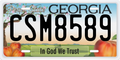 GA license plate CSM8589