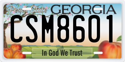 GA license plate CSM8601
