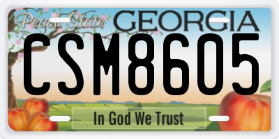 GA license plate CSM8605