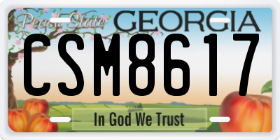 GA license plate CSM8617