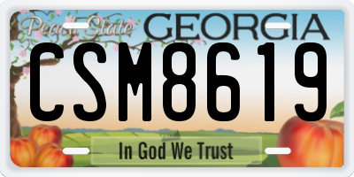 GA license plate CSM8619