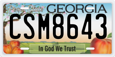 GA license plate CSM8643