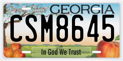 GA license plate CSM8645