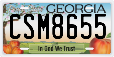 GA license plate CSM8655