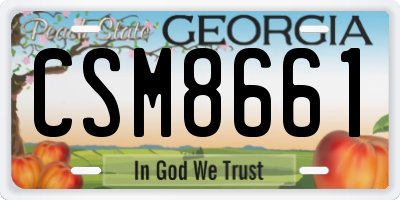 GA license plate CSM8661