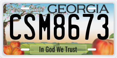 GA license plate CSM8673