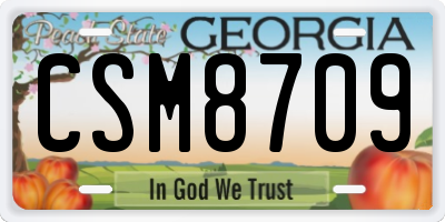 GA license plate CSM8709