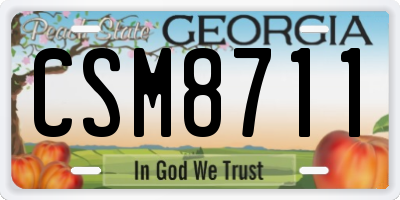 GA license plate CSM8711