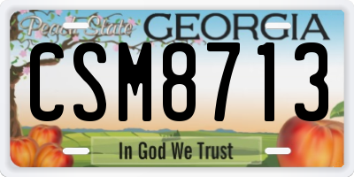 GA license plate CSM8713