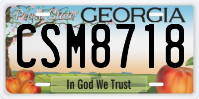 GA license plate CSM8718
