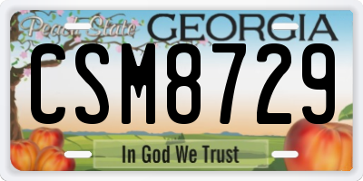 GA license plate CSM8729