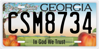 GA license plate CSM8734
