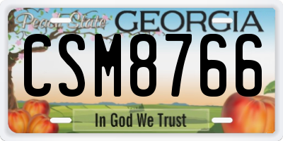 GA license plate CSM8766