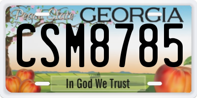 GA license plate CSM8785