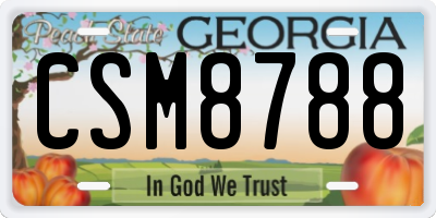 GA license plate CSM8788