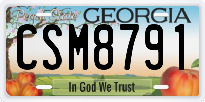 GA license plate CSM8791