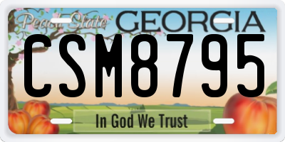 GA license plate CSM8795