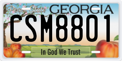 GA license plate CSM8801