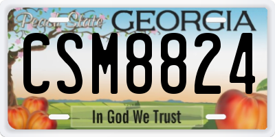 GA license plate CSM8824