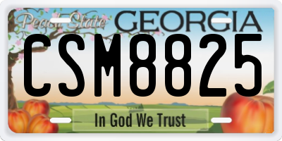 GA license plate CSM8825