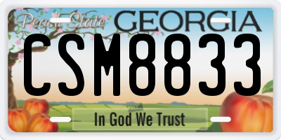 GA license plate CSM8833