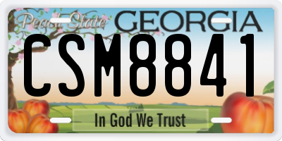 GA license plate CSM8841