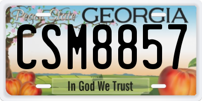 GA license plate CSM8857