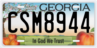 GA license plate CSM8944
