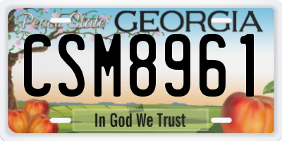 GA license plate CSM8961