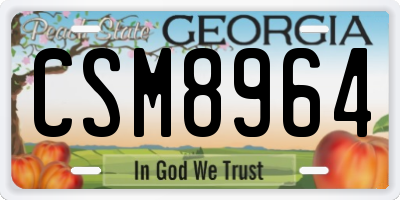GA license plate CSM8964