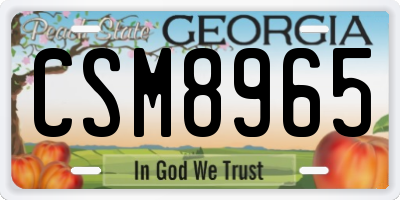GA license plate CSM8965