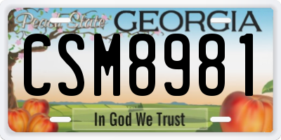 GA license plate CSM8981