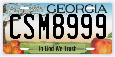 GA license plate CSM8999