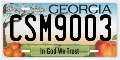 GA license plate CSM9003