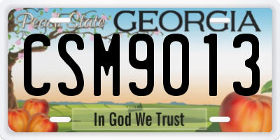 GA license plate CSM9013