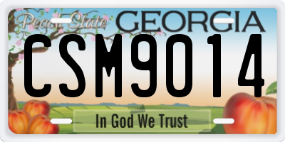GA license plate CSM9014