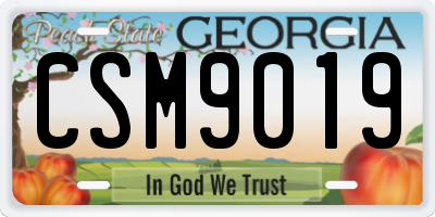 GA license plate CSM9019