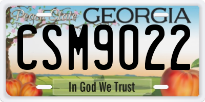 GA license plate CSM9022