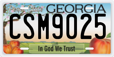 GA license plate CSM9025