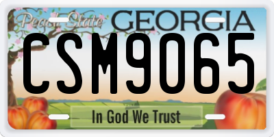 GA license plate CSM9065