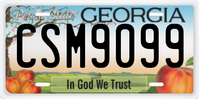 GA license plate CSM9099