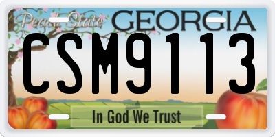 GA license plate CSM9113