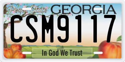 GA license plate CSM9117