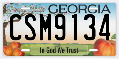 GA license plate CSM9134