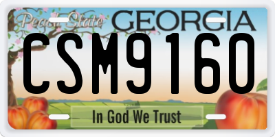 GA license plate CSM9160